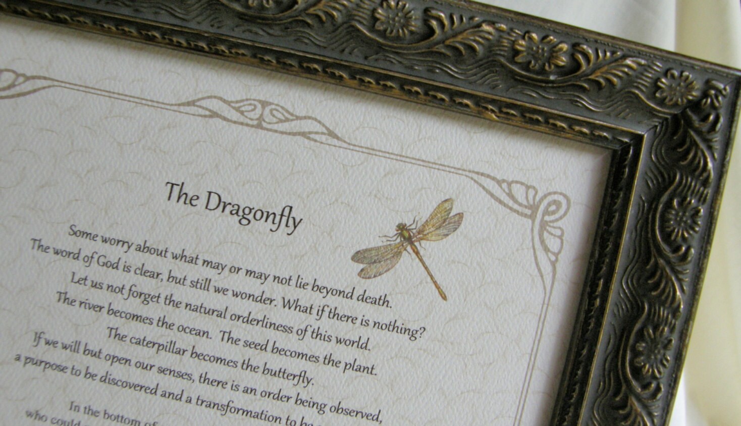 THE DRAGONFLY Comforting loss/grief framed story Sympathy