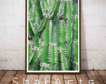 Cactus Wall Art cactus wall art print succulent print cactus art cactus art Cactus Wall Art cactus wall art print succulent print cactus art cactus art