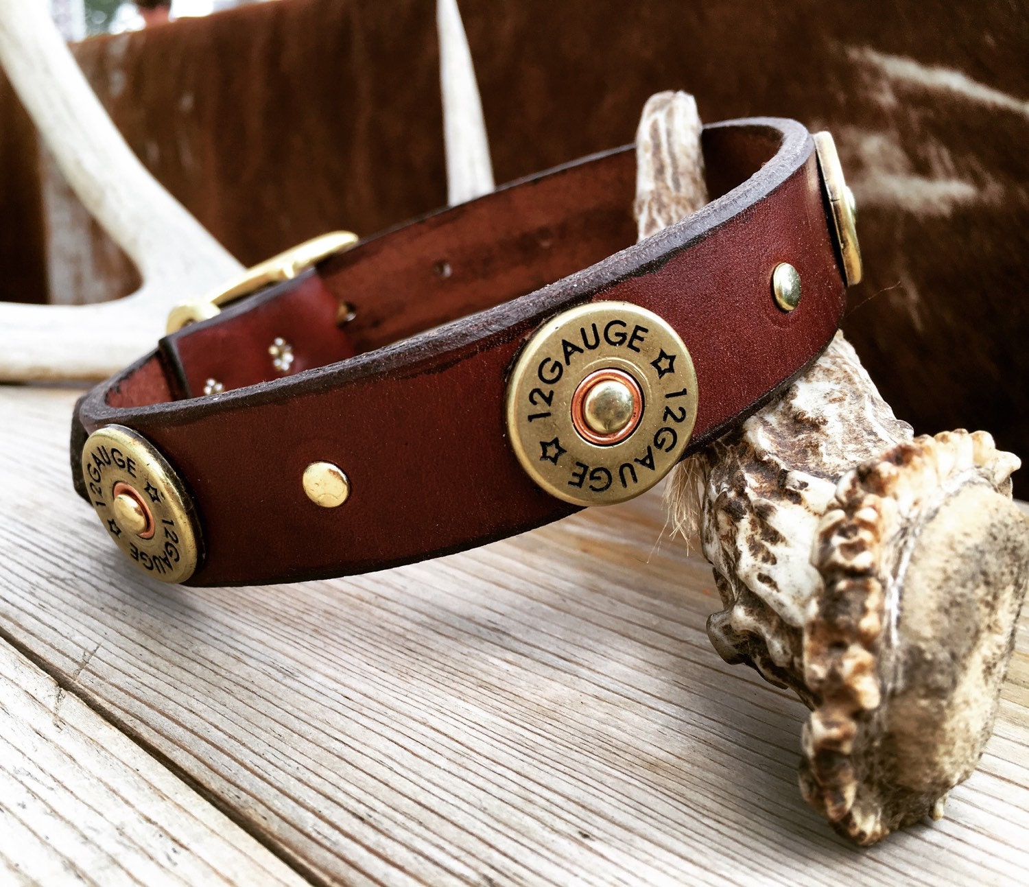Leather dog collar with shotgun shells