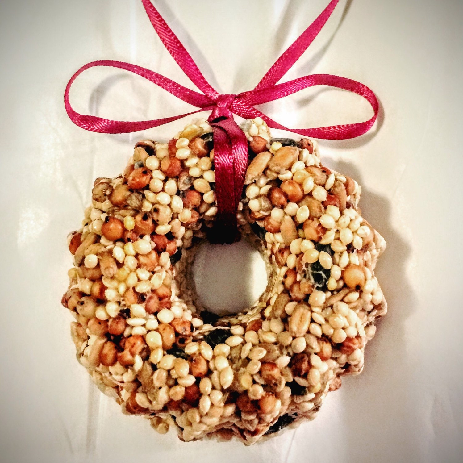 Bird Seed Wreath Gift Box Set of 6 Bird Seed Ornament