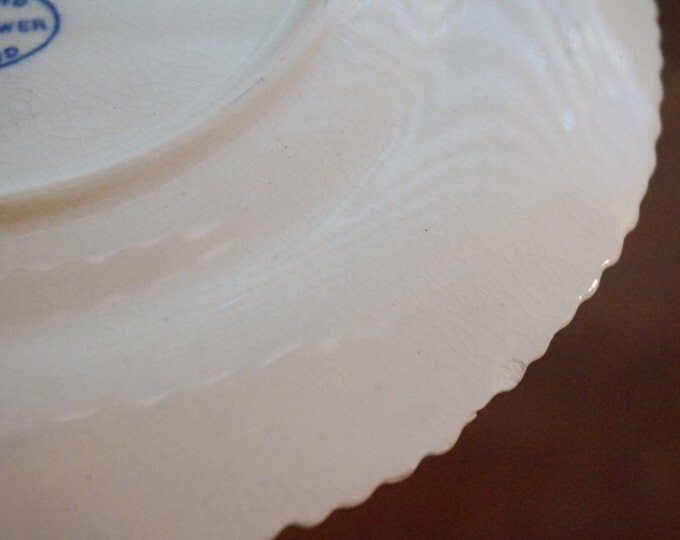 Copeland Dishes - 1890s