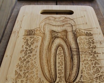 Personalized Cutting Board, Dental Assistant Gifts, Dentist Graduation, Tooth, Gift for Dental Hygienist, Dentist Gift, Dentist Office