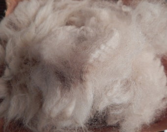 Raw Alpaca Fleece, Gorgeous Soft Prime Blanket Fiber, Natural White, Spins like a dream, Felt Spin Craft Create, Unwashed 6 ounces