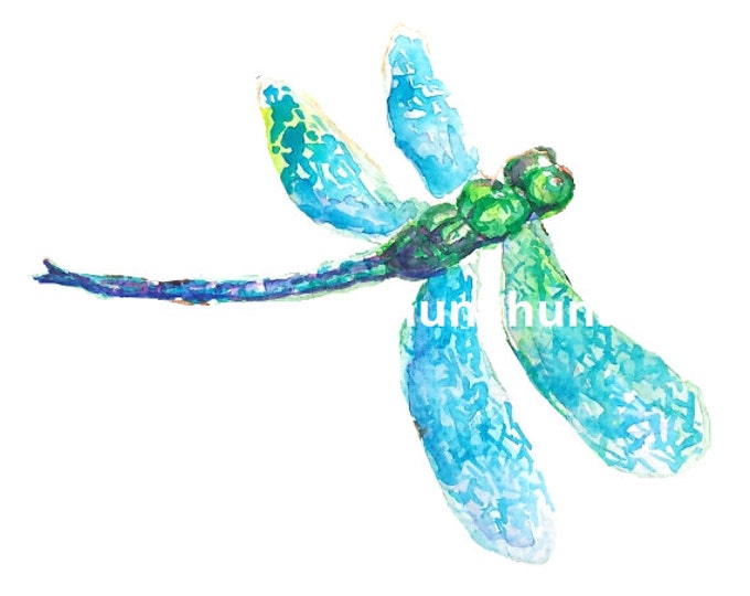 Dragonfly watercolor clipart, dragonfly clipart, insect watercolor clipart, tutubi clipart, watercolor clipart, watercolor illustration