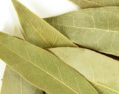 Bay Leaf Fresh Dried, Wildcrafted California Bay Leaf, Premium Culinary Bay Leaves, Fresh Bay Leaves from The Tiny House Farm