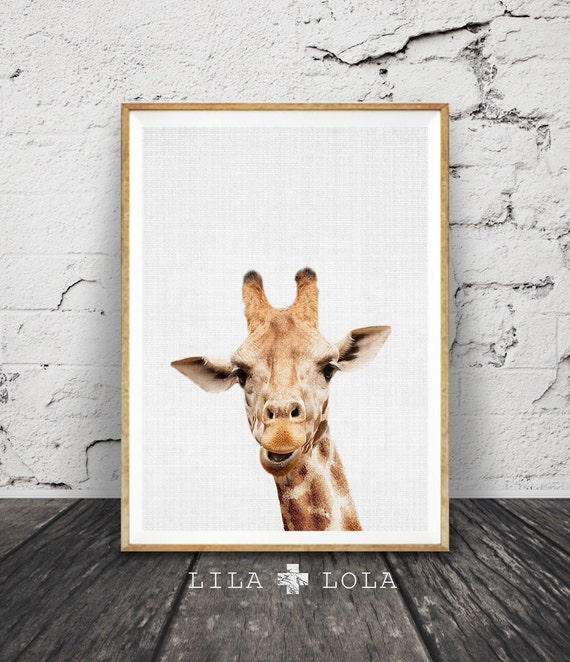Giraffe Print Nursery Animal Art Nursery Safari Decor