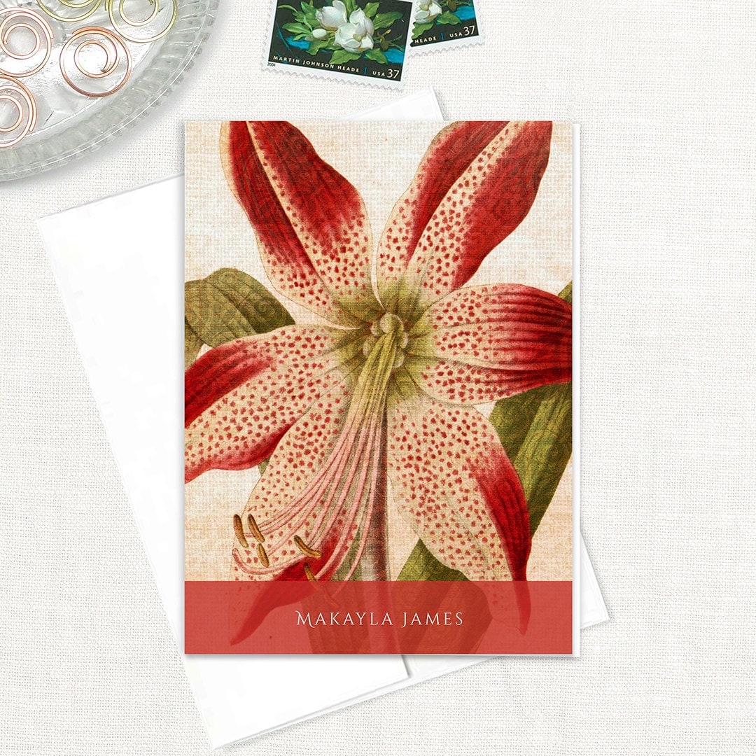 personalized stationery set - ANTIQUE AMARYLLIS BLOOM - set of 8 folded note cards - stationary - floral - botanical - flower