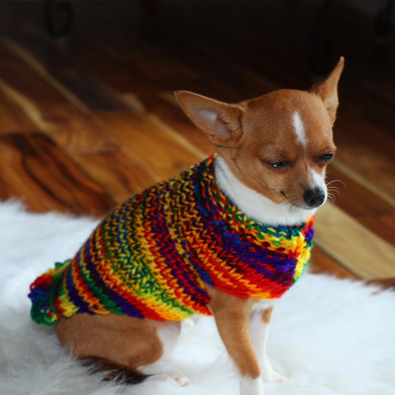 toy chihuahua sweaters