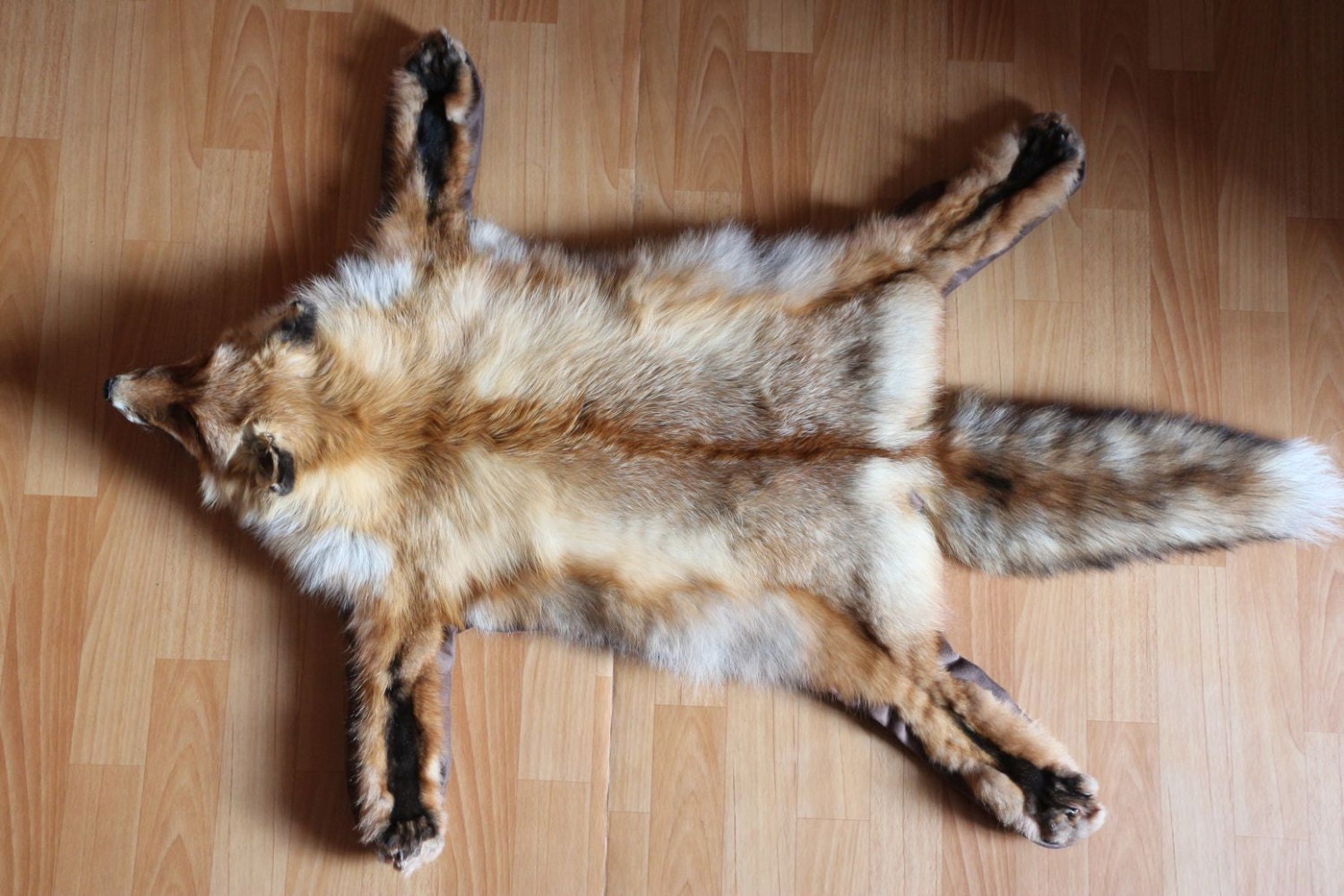 Siberian Red Fox Taxidermy Fur Rug Carpet Skin by STORETAXIDERMY