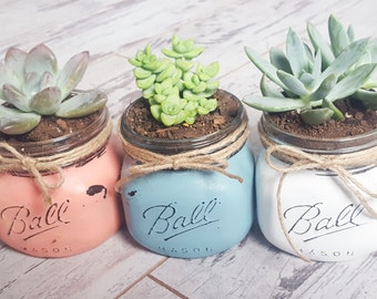 Mason Jar Succulent Planter , pint-sized masoon jar, glass widemouth Ball mason jar