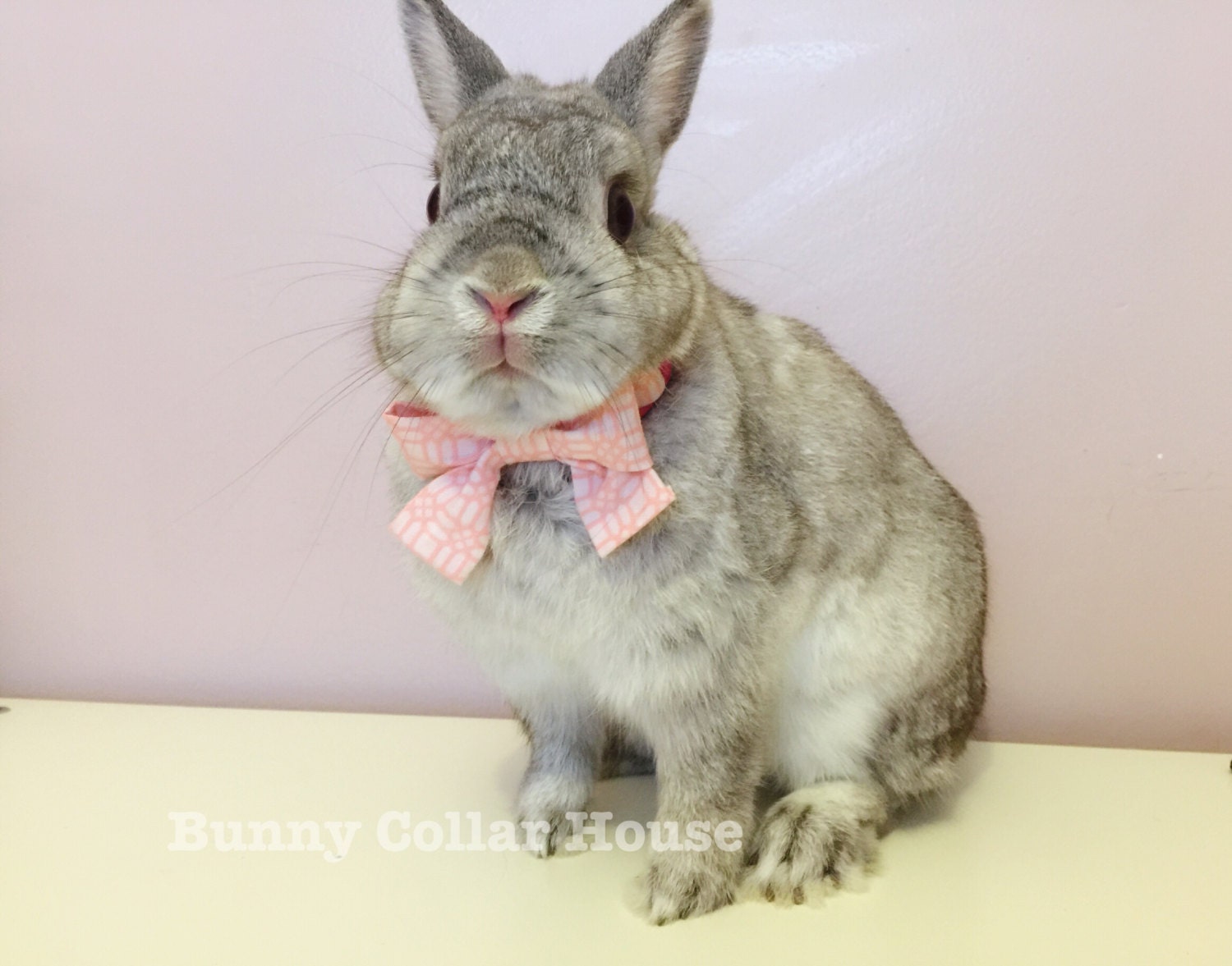Pink Dolly Collar rabbit accessories bunny by BunnyCollarHouse