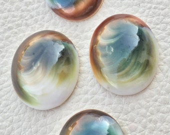 Cat eye shells | Etsy