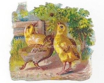 8 Chicks and Ducklings: Victorian Die cut Scrap
