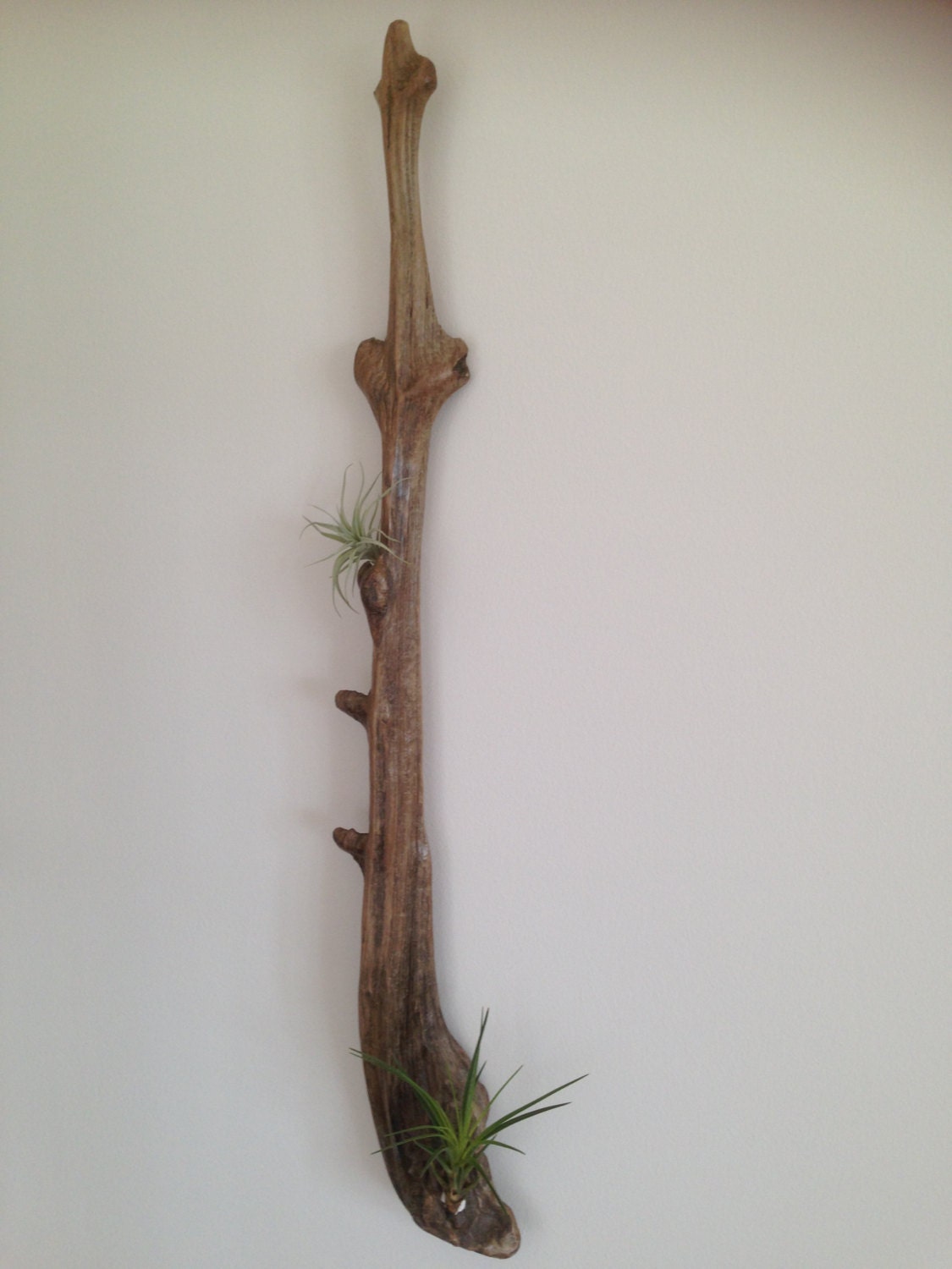 Driftwood wall hanging