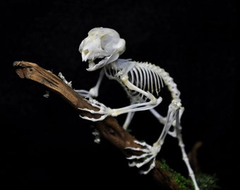 Unavailable Listing on Etsy