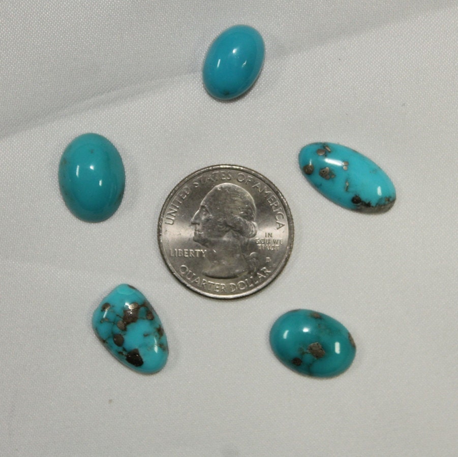 Stabilized Kingman turquoise 31.6cts 5pcs