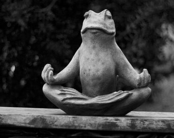 Garden Zen: WALL ART Fine Art Photography Farm & Garden Frog Statue Meditation Water Pond Plants Botanical