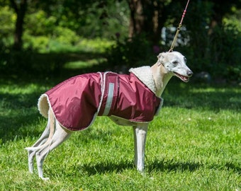 whippet waterproof dog coat in any colour in sizes 19" to 26
