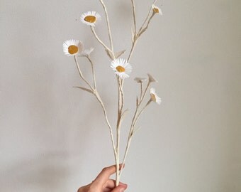 Paper Flower // Daisy