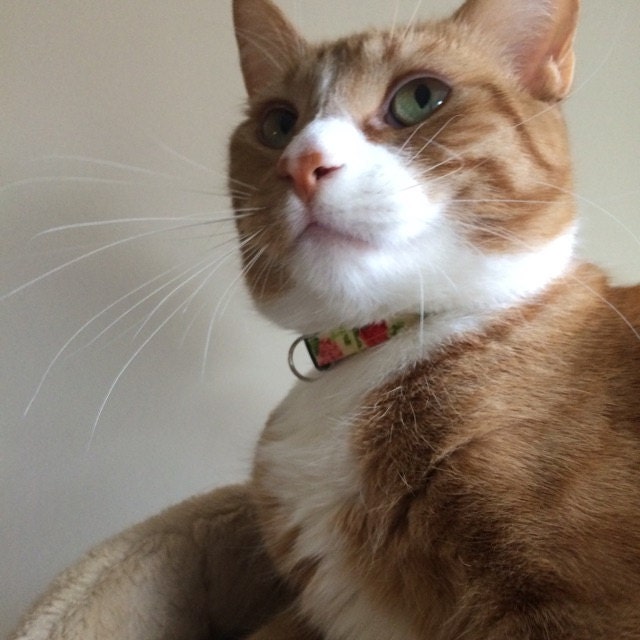 Cat Collar Victorian Roses Breakaway Safety Cute by PawsnTails