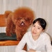 jupetpet
