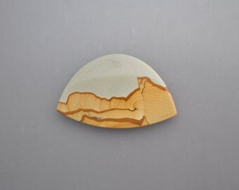 Wild Horse Picture Jasper