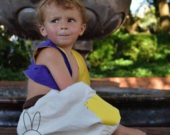 Boys Aladdin Costume, Clothing, Brother Sister Twin Costume Harem Pant, Purple lined Vest and Fez Hat, sizes 9 month through 6