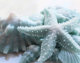 SHELL SOAP, Teal and White Opalescence Beach Shells, Shell Gift Set, Beach House Soap, Scented Soap, Custom Scented, Vegetable Based