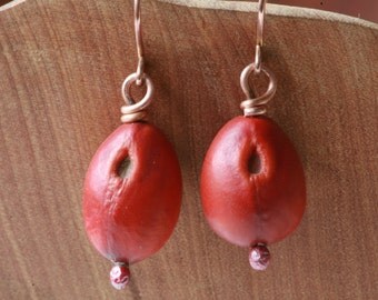 Copper and Red Mountain Laurel Seed Earrings