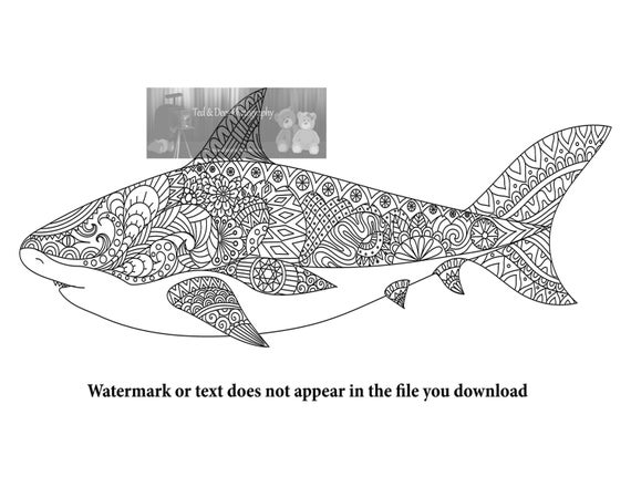 Shark printable fun detailed adult coloring page instant