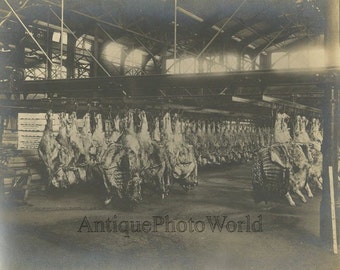 Meat btucher storage animal carcasses antique photo