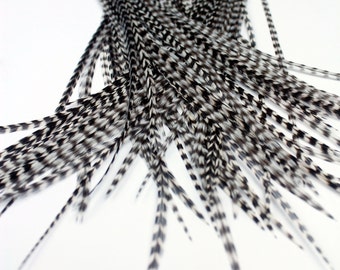 Real Feather Hair Extensions : 25 Short Skinny 7-9 inch All Grizzly + Rings / Loop