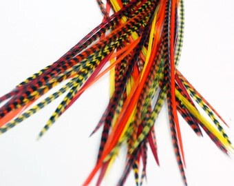 Real Feather Hair Extensions : 25 Short Skinny 7-9 inch Sunburst + Rings / Loop