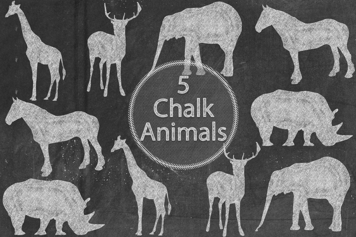 Chalk Animals