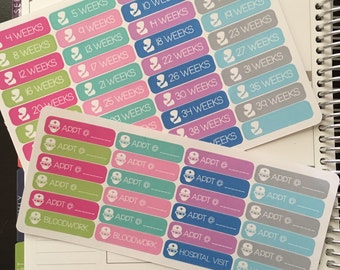 Pregnancy Planner Stickers, maternity planner stickers, perfect for use with the Erin Condren Life Planner