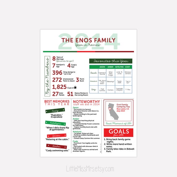Year in Review Holiday Infographic Card - Customized, Fun, informative - include photo or custom message on back