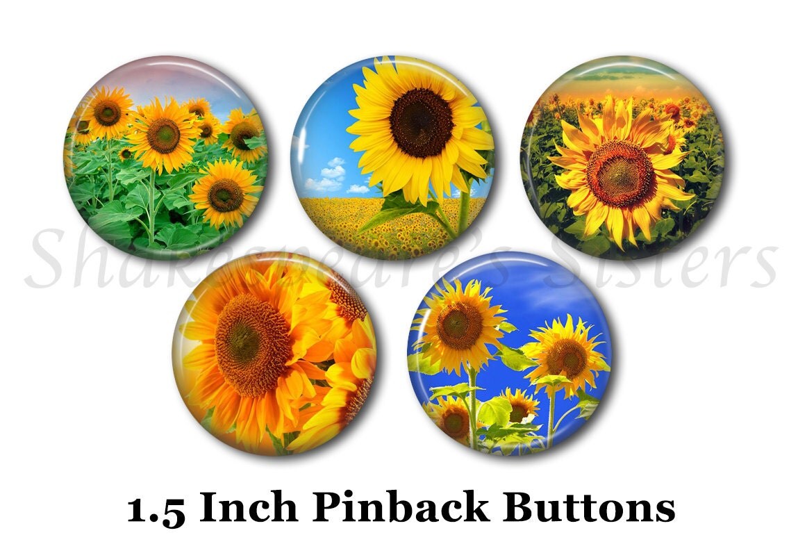 Sunflower Pins Flower Pins 5 Pinback Buttons 1.5