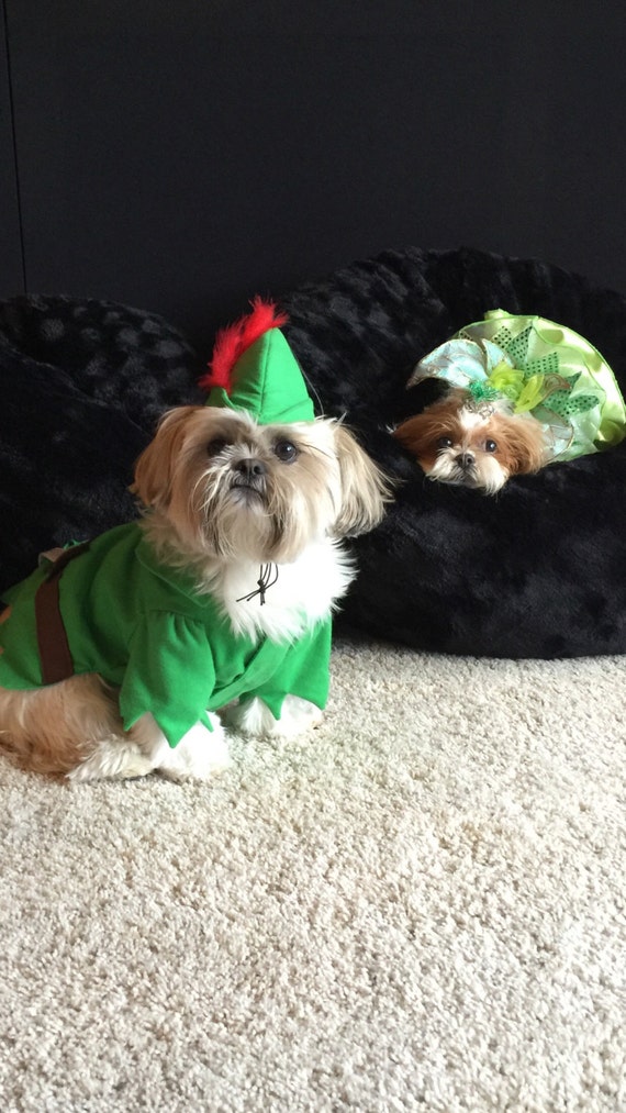 Peter Pan Dog Costume
