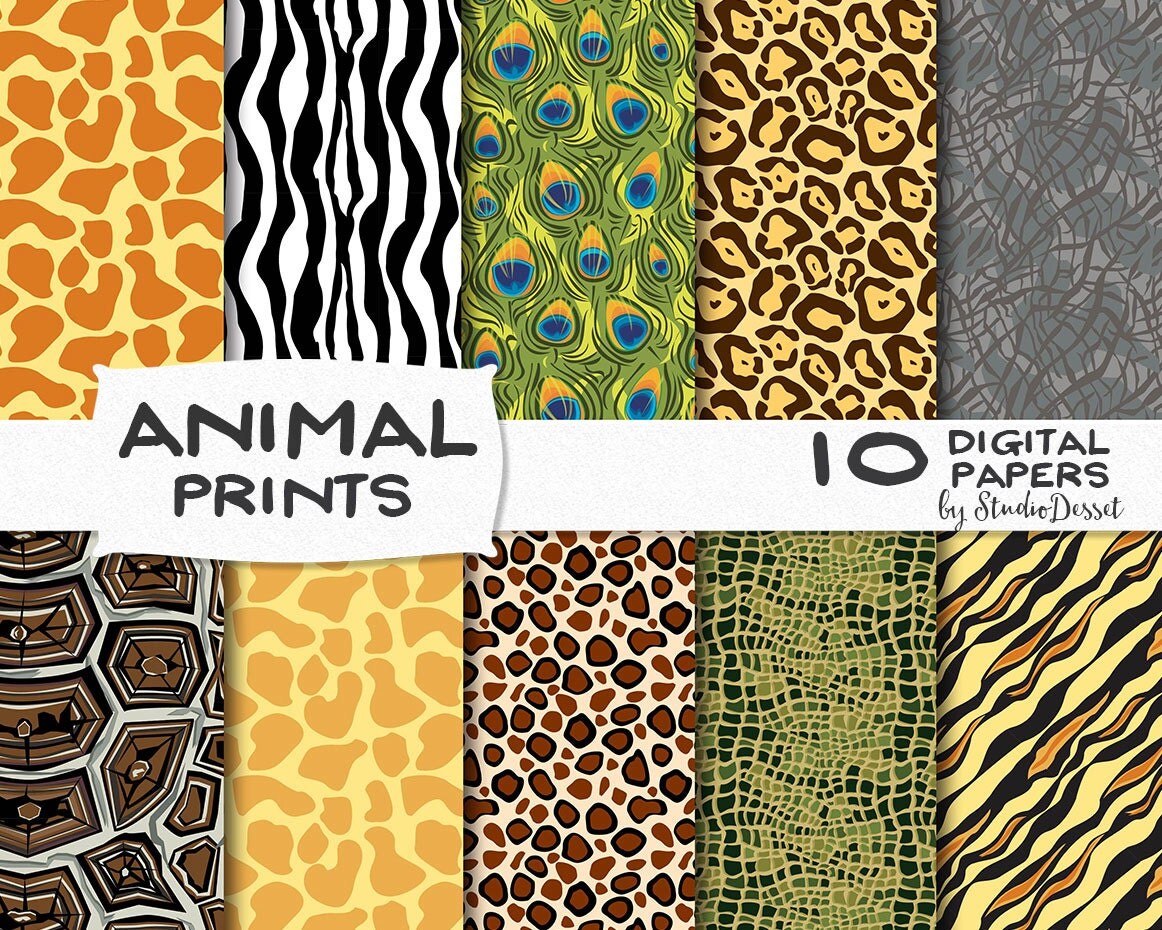 Safari Papers Animal Print Zoo Leather Papers by StudioDesset