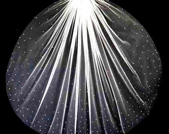 FREE SHIPPING crystal cathedral wedding veil, scattered crystal veil, crystal wedding veil, cathedral veils, wedding veils