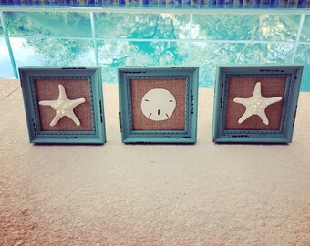 coastal decor, framed starfish, framed sand dollar, framed seashells, beach decor, set of 3, beach house decor, bathroom decor, beachy decor