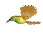 Fan Carved Bird Mobile – Green Bee Eater Wood Carving, Handmade Folk Craft, Anniversary Gift Woodworking, Homemade Woodland Mobile Art OOAK Fan Carved Bird Mobile – Green Bee Eater Wood Carving, Handmade Folk Craft, Anniversary Gift Woodworking, Homemade Woodland Mobile Art OOAK
