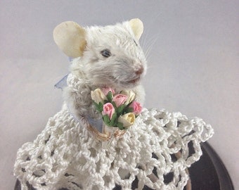 Sunday Best Taxidermy Mouse