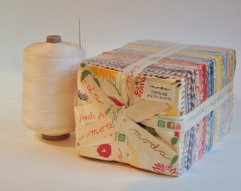 Fresh Air by American Jane of Moda destash quilter cotton Out of Print OOP Hard to find fat quarter bundle 40 pieces