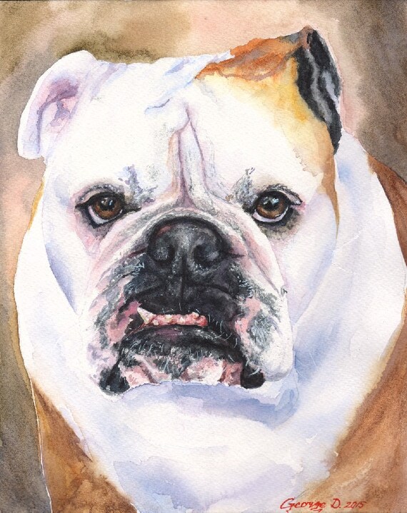 English Bulldog Watercolor Print Of The By GeorgeWatercolorArt