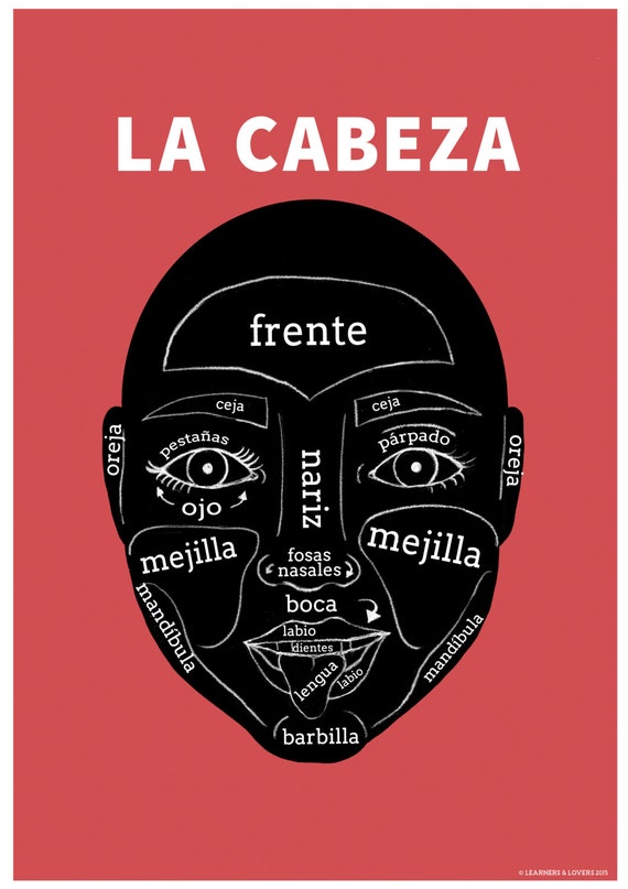 Items similar to La Cabeza 'The Head' Spanish Teaching Poster on Etsy