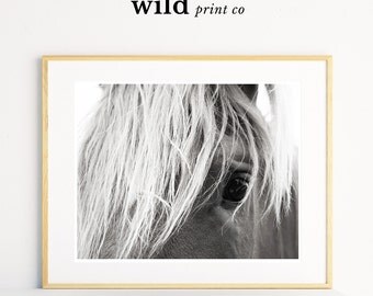 Horse Print, Horse Art, Horse Decor, Wall Prints, Horse Printable, Home Decor Wall Art