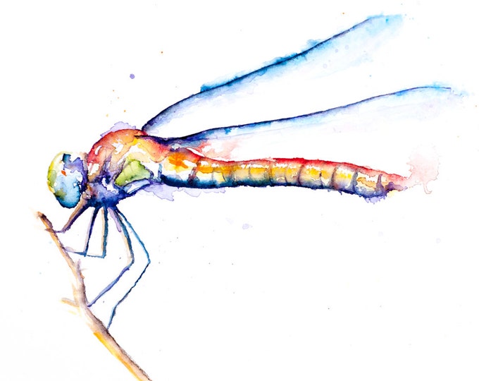 WATERCOLOR DRAGONFLY, Original Water Colour, Water Colour Print - Abstract dragonfly art