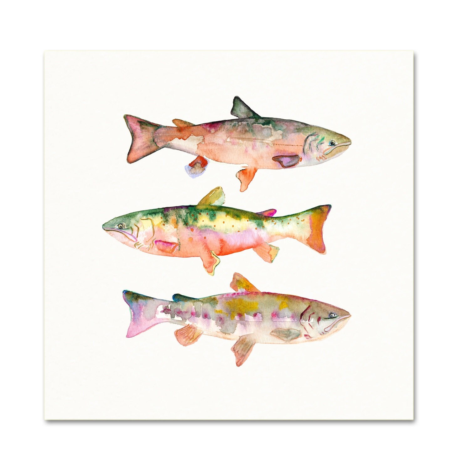 Watercolor Trout Art Print. Red Watercolor Trout Painting.