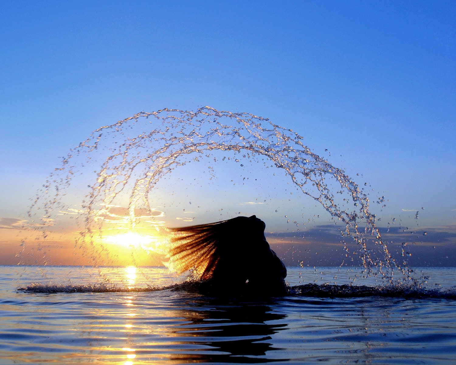 Water arch with sunset background in Charleston SC